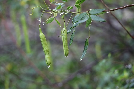 陪伴老公走过风雨的句子精选89条（精选推荐）